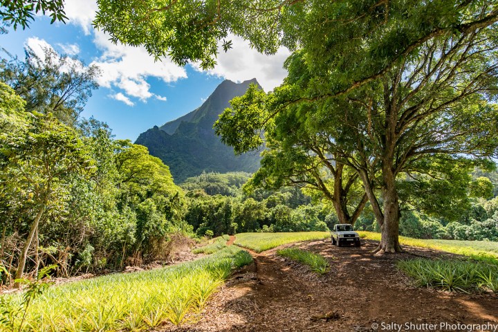 French Polynesia (1 of 1)-19.jpg