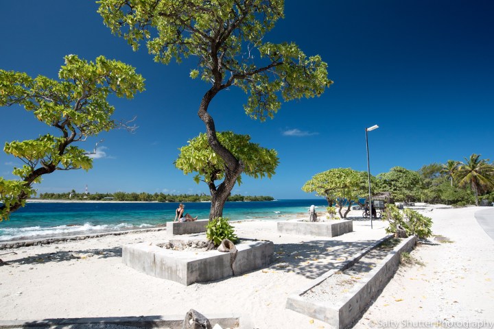 Rangiroa Diving (1 of 1)-24.jpg