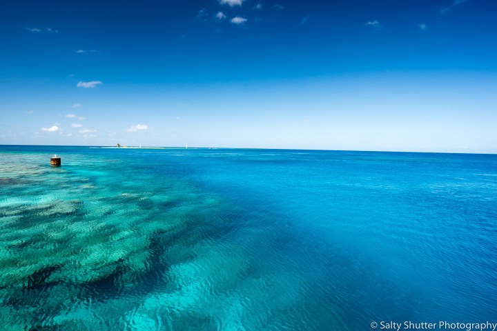 Rangiroa Diving (1 of 1)-32.jpg