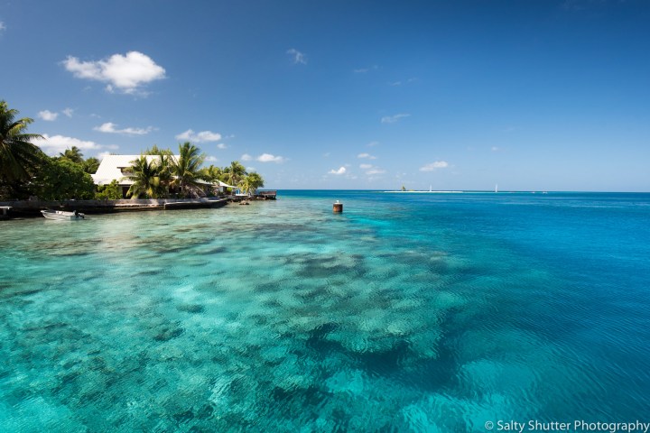 Rangiroa – Where the Dogs Speak More French Than We&nbsp;Do