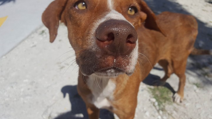 Rangiroa Sam Pics (20 of 26).jpg