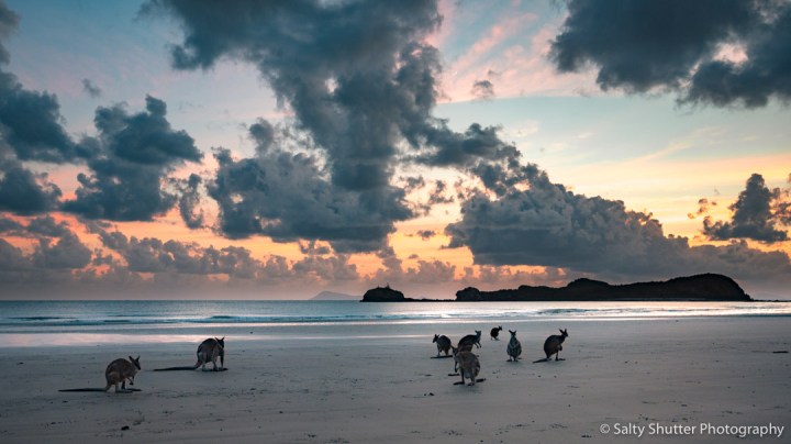 The Great Australian&nbsp;Roadtrip