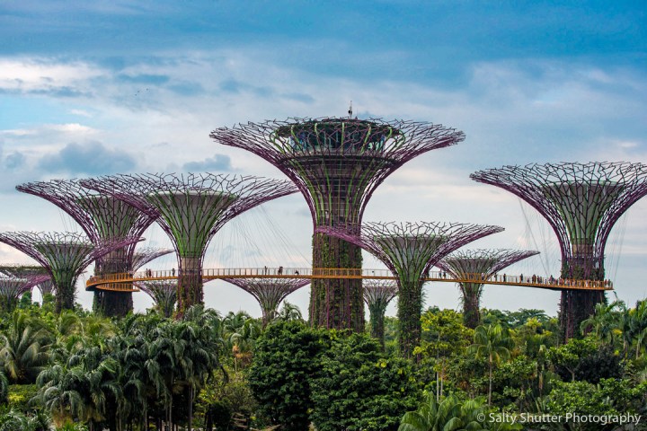 Singapore Slingin’