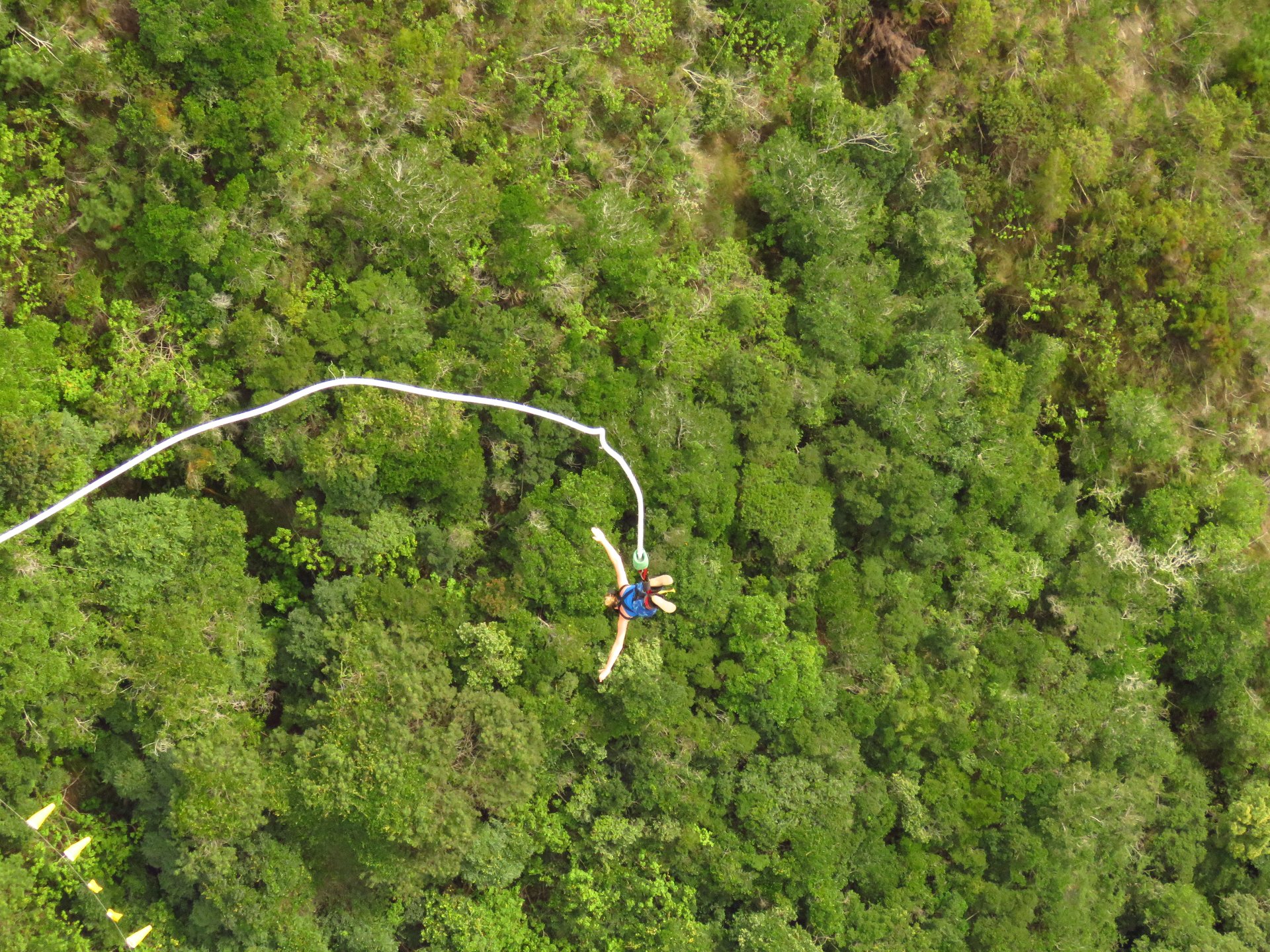 94fc0a70-237d-11e8-8636-71babdda2a68_IMG_6505